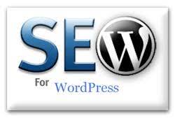 Wordpress SEO Expert